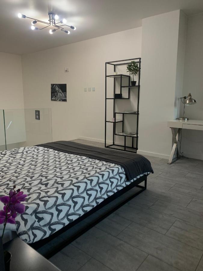 Ekskluzywny Penthouse Z Ogrodem W Centrum Lodzi Buitenkant foto