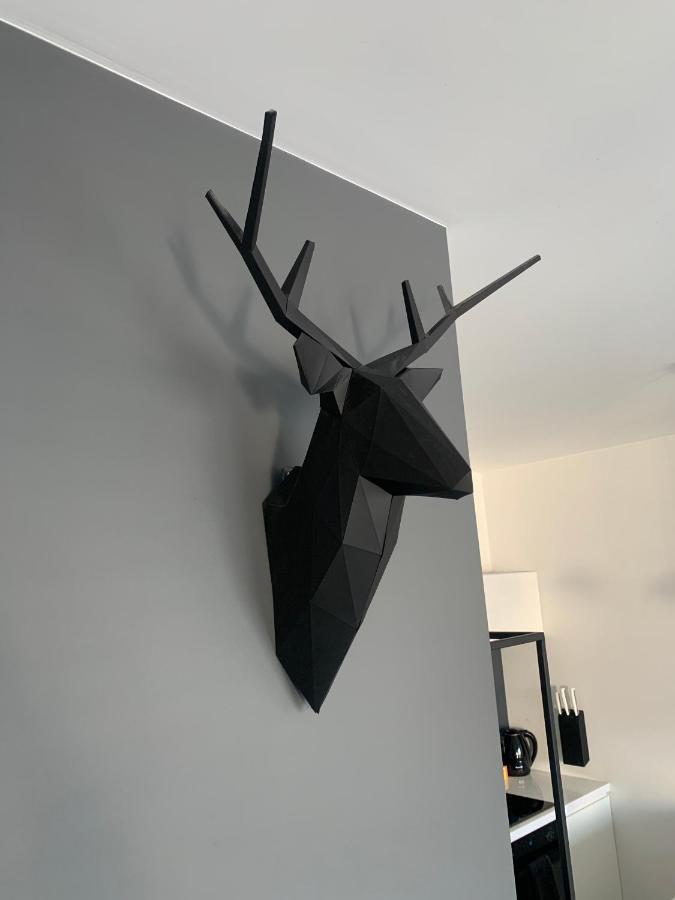 Ekskluzywny Penthouse Z Ogrodem W Centrum Lodzi Buitenkant foto